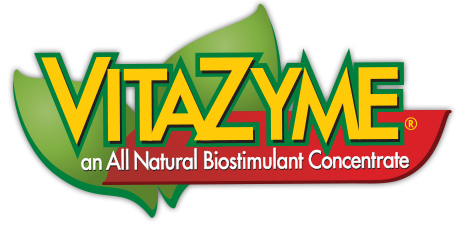 Vitazyme Logo